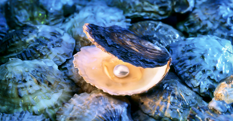 pearl source